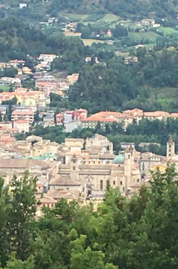 L'Acerba B&B Ascoli Piceno Dış mekan fotoğraf
